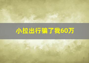 小拉出行骗了我60万