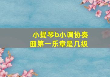 小提琴b小调协奏曲第一乐章是几级