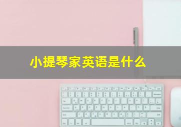 小提琴家英语是什么