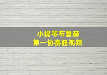 小提琴布鲁赫第一协奏曲视频