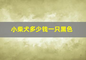 小柴犬多少钱一只黑色