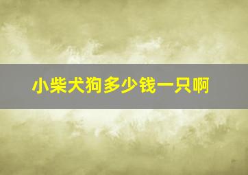 小柴犬狗多少钱一只啊