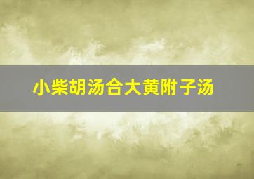 小柴胡汤合大黄附子汤