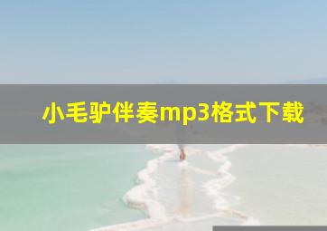 小毛驴伴奏mp3格式下载