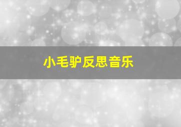 小毛驴反思音乐