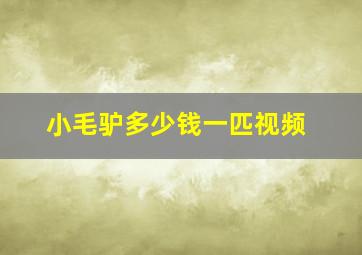 小毛驴多少钱一匹视频