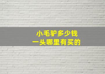 小毛驴多少钱一头哪里有买的