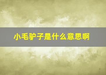 小毛驴子是什么意思啊