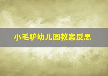 小毛驴幼儿园教案反思