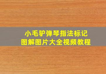 小毛驴弹琴指法标记图解图片大全视频教程