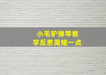 小毛驴弹琴教学反思简短一点