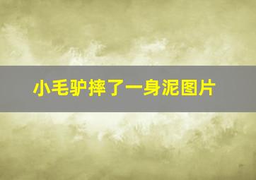 小毛驴摔了一身泥图片