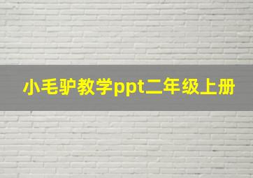 小毛驴教学ppt二年级上册