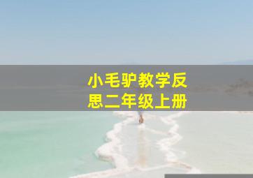 小毛驴教学反思二年级上册