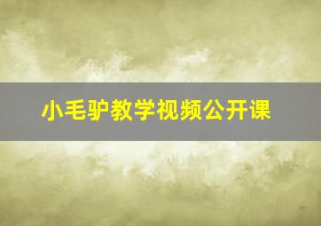 小毛驴教学视频公开课