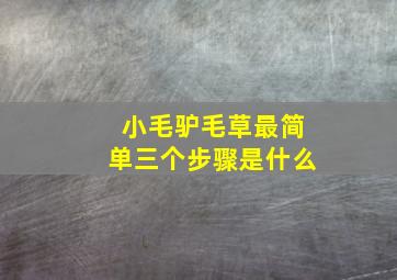 小毛驴毛草最简单三个步骤是什么