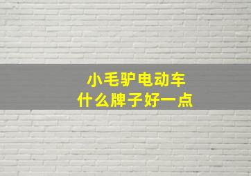 小毛驴电动车什么牌子好一点