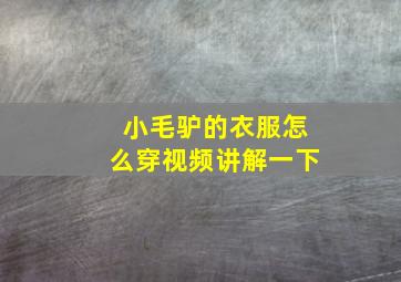 小毛驴的衣服怎么穿视频讲解一下