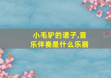 小毛驴的谱子,音乐伴奏是什么乐器