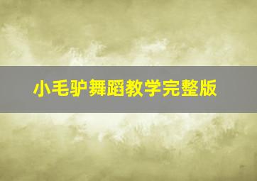 小毛驴舞蹈教学完整版