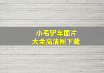 小毛驴车图片大全高清图下载