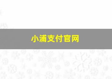 小浦支付官网