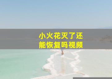 小火花灭了还能恢复吗视频