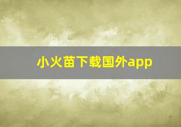 小火苗下载国外app