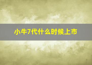 小牛7代什么时候上市