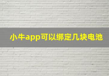 小牛app可以绑定几块电池