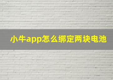 小牛app怎么绑定两块电池