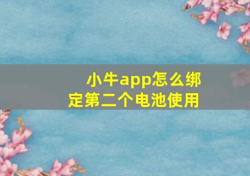 小牛app怎么绑定第二个电池使用