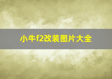 小牛f2改装图片大全