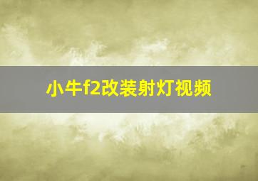 小牛f2改装射灯视频