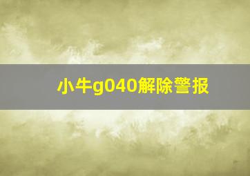 小牛g040解除警报