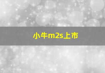 小牛m2s上市