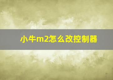 小牛m2怎么改控制器