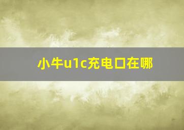 小牛u1c充电口在哪