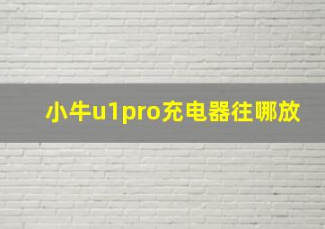 小牛u1pro充电器往哪放