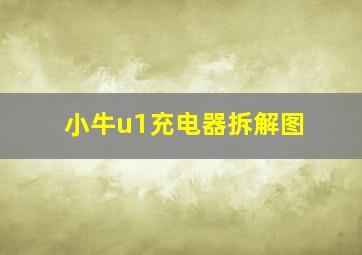 小牛u1充电器拆解图