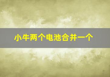 小牛两个电池合并一个