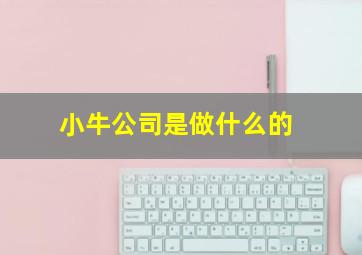 小牛公司是做什么的