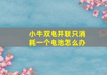 小牛双电并联只消耗一个电池怎么办