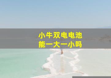 小牛双电电池能一大一小吗