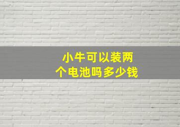 小牛可以装两个电池吗多少钱