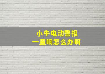 小牛电动警报一直响怎么办啊