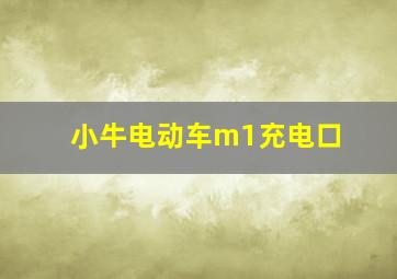 小牛电动车m1充电口