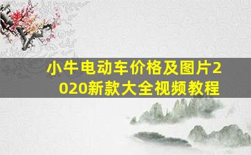 小牛电动车价格及图片2020新款大全视频教程