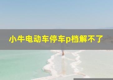 小牛电动车停车p档解不了