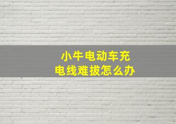 小牛电动车充电线难拔怎么办